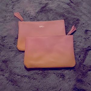 Two small Ipsy travel bags